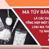 Nhận diện và phân biệt về các loại ma túy thường gặp