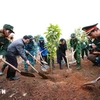 Thủ tướng Phạm Minh Chính trồng cây tại Lễ phát động “Tết trồng cây Đời đời nhớ ơn Bác Hồ.” (Ảnh: Dương Giang/TTXVN)