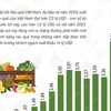 Dự báo năm 2024, xuất khẩu rau quả đạt kỷ lục hơn 7,2 tỷ USD 