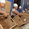 Nguồn vốn ODA góp phần xóa đói, giảm nghèo tại Việt Nam. (Ảnh minh họa. Nguồn: TTXVN)