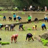 Hội thảo phát triển kinh tế Hà Giang trong mối liên kết vùng Đông-Tây