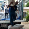 Ủy ban nhân dân phường 7 thành phố Vũng Tàu huy động lực lượng từ Ban chỉ huy Quân sự phường, các đoàn thể tiếp nhận gạo. (Ảnh: TTXVN phát)
