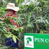 Chặng đường hai năm vượt 'bão COVID-19' là cuộc cách mạng của PUN Coffee. (Ảnh: CTV/Vietnam+)