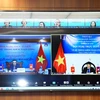 Hội nghị trực tuyến về “Hệ thống kiểm toán công,” giữa Lào và Việt Nam ngày 21/4. (Ảnh: Vietnam+)