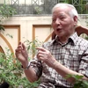 Dù đã 85 tuổi nhưng giáo sư, viện sỹ Đặng Hữu vẫn miệt mài đóng góp ý kiến cho sự phát triển của đất nước. (Ảnh: Tùng Lâm/Vietnam+)