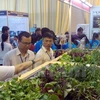 Giới thiệu sản phẩm, quy trình làm ra rau sạch với người tham gia Techmart (Ảnh: T.H/Vietnam+) 