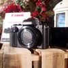 Hai mẫu máy ảnh dòng G mới nhất của Canon được kỳ vọng sẽ làm nóng thị trường máy ảnh kỹ thuật số cuối năm. (Ảnh: T.H/Vietnam+)