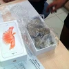 "Đập hộp" chiếc iPhone, khách hàng và người bán thấy bên trong toàn đá. (Ảnh: Kienthuc.net.vn)
