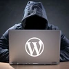 Hacker có thể khai thác lỗ hổng của Wordpress để tấn công người dùng. (Ảnh minh họa: theme4press.com)
