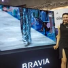 TV Bravia là một trong những thế mạnh của Sony ở thị trường Việt Nam. 