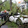 [Photo] Cây xanh đổ ngổn ngang sau trận mưa giông lớn tại Hà Nội