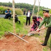 Tết trồng cây nhớ ơn Bác tại đền Chung Sơn: Gieo mầm xanh, gặt hy vọng
