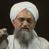 Ai Cập: Bắt giữ phụ tá cấp cao của thủ lĩnh al-Qaeda 