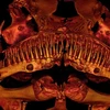 Giới nghiên cứu đau đầu vì loài cá hàm đầy răng nhọn bí ẩn