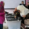 EU tham gia giám sát cuộc bầu cử Tổng thống tại Ai Cập