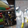WHO chuẩn bị tổ chức hội nghị quốc tế về dịch Ebola