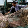 [Photo] Bình minh chợ cá cột 5: Luôn tấp nập tiếng kẻ mua, người bán