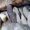 Quảng Bình: Phát hiện bộ đàn đá cổ khi đào ao thả cá