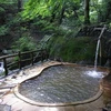 Suối nước nóng Fudo no Yu. (Nguồn: dailymail.co.uk)