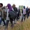 Người nhập cư tại khu vực cảng Calais, miền bắc Pháp ngày 3/8. (Nguồn: AFP/TTXVN)