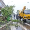 Cây cối bị quật đổ do bão tại thành phố Phú Điền, tỉnh Phúc Kiến ngày 29/9. (Nguồn: THX/TTXVN)