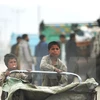 Trẻ em Afghanistan đẩy xe đi bán rau tại thủ đô Kabul. (Nguồn: THX/TTXVN)