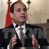 Trước đó, Tổng thống Ai Cập Abdel Fattah El-Sisi đã thành lập Ủy ban Điều tra Tham nhũng. (Nguồn: AFP/TTXVN)