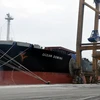 Tàu Ocean Domina bốc rót 25.000 tấn ngô. (Ảnh: Vũ Văn Đức/TTXVN)