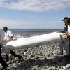 Mảnh vỡ nghi của máy bay MH370 được tìm thấy trên đảo Reunion, Pháp. (Nguồn: AP/TTXVN) 