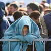 Người di cư và tị nạn tại biên giới Slovenia-Áo ngày 31/10/2015. (Nguồn: AFP/TTXVN) 