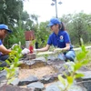 Các thành viên trong Câu lạc bộ truyền thông bảo vệ môi trường Côn Đảo tham gia các hoạt động bảo vệ môi trường.