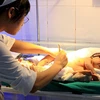 Bộ Y tế yêu cầu báo cáo về trẻ sơ sinh tử vong bất thường tại Huế