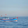 [Photo] Ngư dân Lý Sơn miệt mài vươn khơi bám biển 