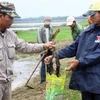 Diệt chuột và bọ chét để phòng, chống dịch hạch xâm nhập Việt Nam 