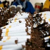 Bài học kinh nghiệm các nước trong việc tăng thuế thuốc lá