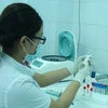 Nhân viên y tế kiểm tra mẫu máu phục vụ xét nghiệm để xác định virus zika. (Ảnh: TTXVN/Vietnam+)