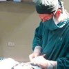 Bác sỹ tiến hành phẫu thuật lấy khối u cho bệnh nhân K.A. (Ảnh: Bệnh viện cung cấp)