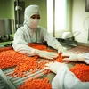 Sản xuất thuốc tại một nhà máy sản xuất trong nước theo tiêu chuẩn quốc tế. (Ảnh: TTXVN/Vietnam+)