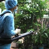 Việt Nam đã ghi nhận được 36 trường hợp mắc virus Zika 