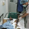 Điều trị cho bệnh nhân mắc liên cầu lợn tại Bệnh viện Bệnh nhiệt đới Trung ương. (Ảnh: TTXVN/Vietnam+)