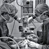 Những ca phẫu thuật vi phẫu được thực hiện thông qua kính hiển vi phóng đại. (Ảnh: PV/Vietnam+)