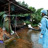 Nhân viên y tế phun thuốc diệt muỗi, hướng dẫn cộng đồng phòng chống sốt xuất huyết. (Ảnh: Dương Ngọc/TTXVN)
