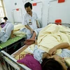 Bệnh nhân sốt xuất huyết điều trị tại Bệnh viện Bạch Mai. (Ảnh: Dương Ngọc/TTXVN)