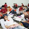 Các bạn trẻ tham gia hiến máu tại ngày Chủ nhật đỏ. (Ảnh: Phương Vy/TTXVN)