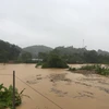 Nước từ sông Hồng dâng cao đã tràn vào nhiều địa bàn ở Yên Bái gây ngập úng nặng. (Ảnh: TTXVN phát)