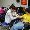 Các bạn trẻ tham gia hiến máu tại Ngày hội trái tim tình nguyện. (Ảnh: PV/Vietnam+)