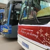 Những chuyến xe chở bệnh nhân về quê đón Tết. (Ảnh: T.G/Vietnam+)