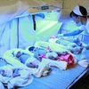 Nhân viên y tế chăm sóc cho trẻ sơ sinh. 