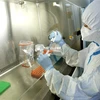 Nghiên cứu sự tiến hóa của virus cúm tại Viện Vệ sinh dịch tễ Trung ương. (Ảnh: TTXVN/Vietnam+)
