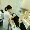 Bệnh nhân khám bệnh tại Bệnh viện Bệnh Nhiệt đới Trung ương. (Ảnh: Minh Quyết/Vietnam+)